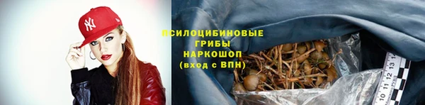 герыч Нязепетровск