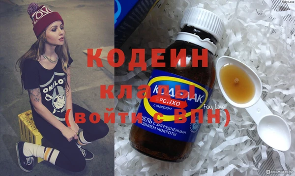 молекула духа Няндома