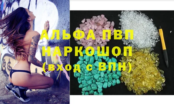 молекула духа Няндома
