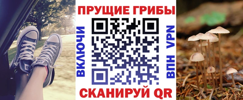 Галлюциногенные грибы мицелий  Советская Гавань 