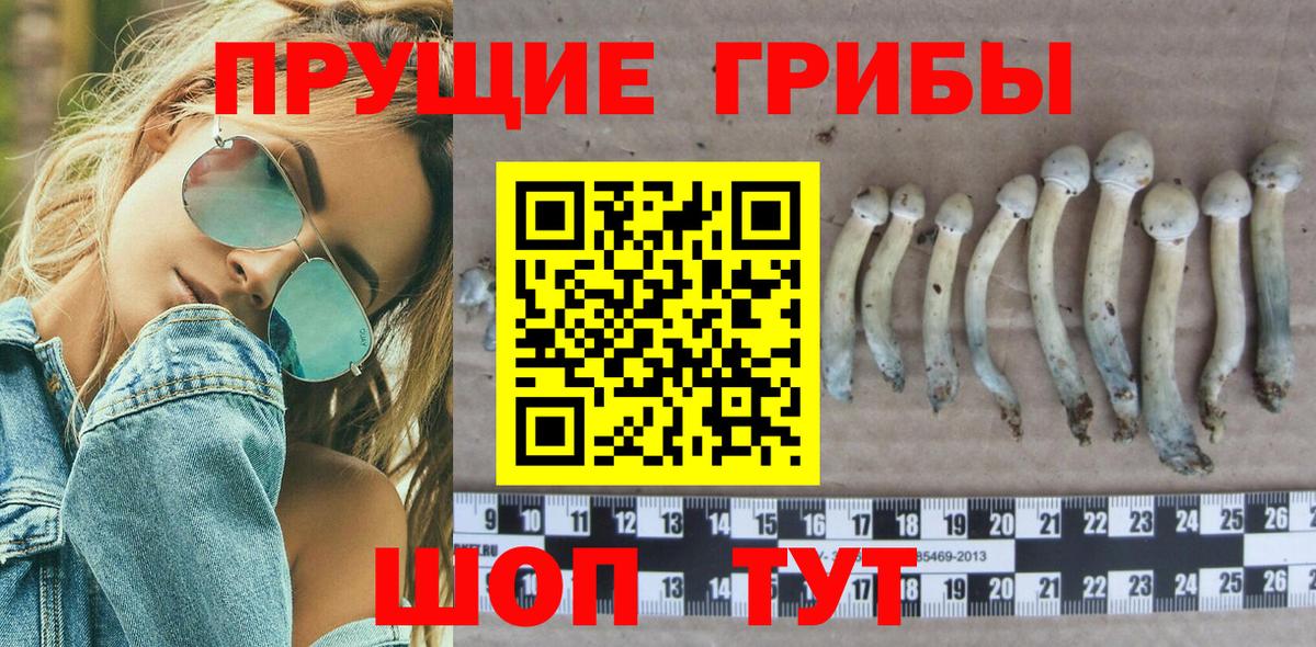 Псилоцибиновые грибы мицелий Советская Гавань