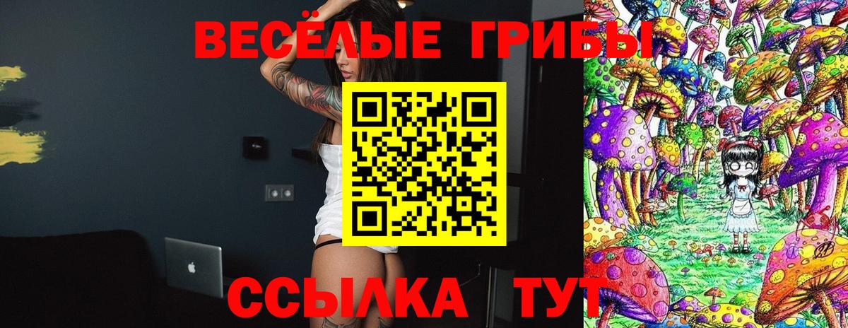купить   Галлюциногенные грибы Magic Shrooms  Вход с VPN  Советская Гавань 