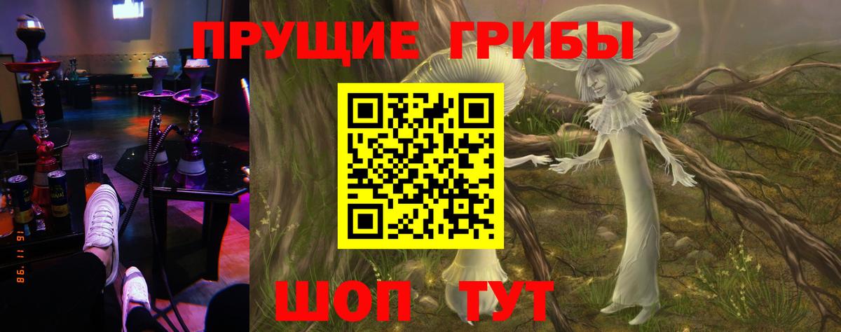 Галлюциногенные грибы Cubensis  Советская Гавань 