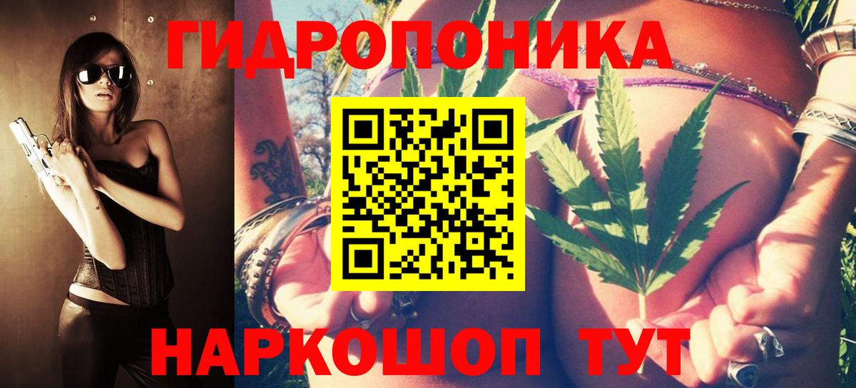 Бошки Шишки конопля Советская Гавань